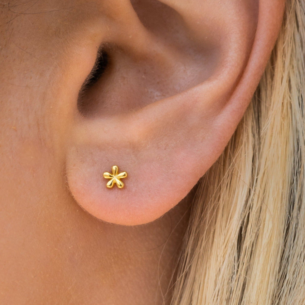 Lily – Small gold earrings
